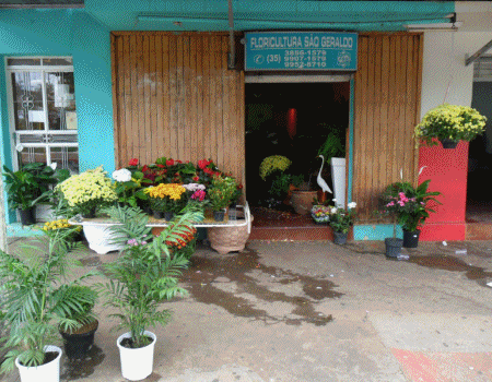 São Geraldo Funerária e Floricultura em Guapé